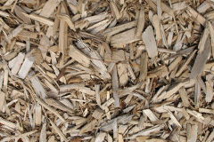 biomass boilers Pelutho